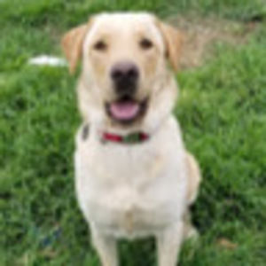 Meet your Posher, Salman